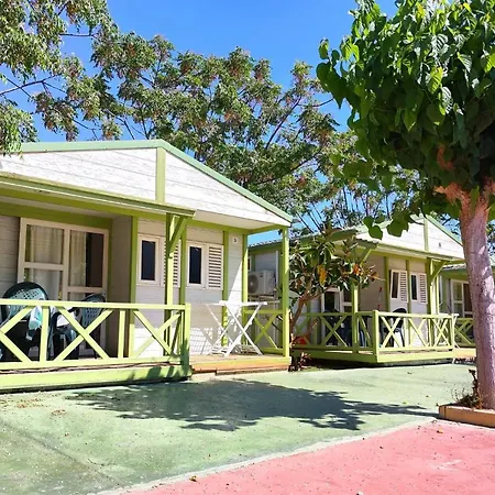 Campsite El Jardin El Campello