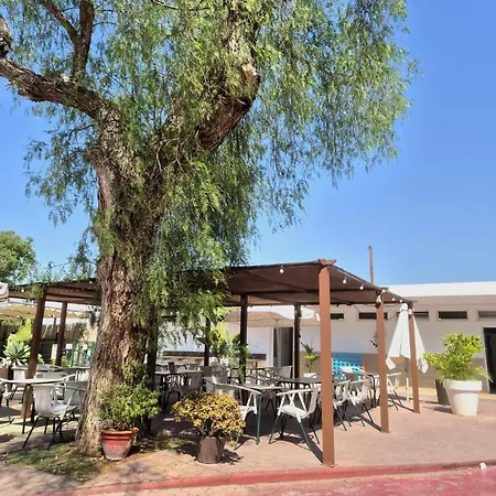 El Jardin