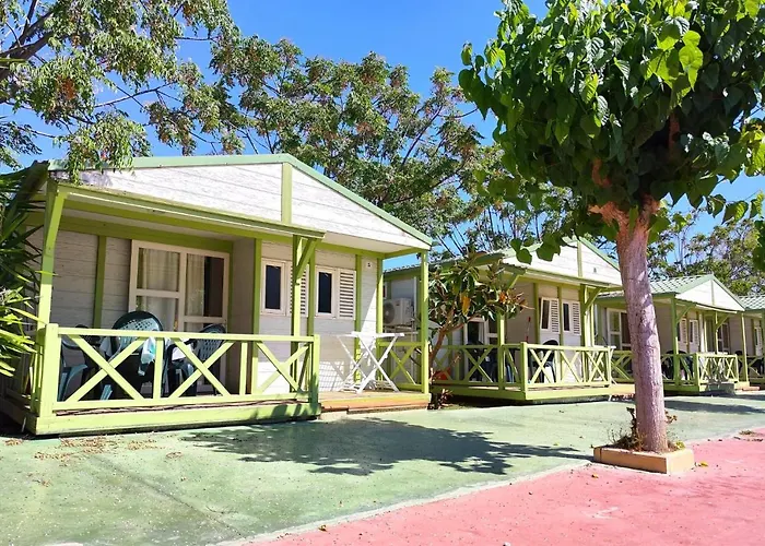 Campsite El Jardin El Campello